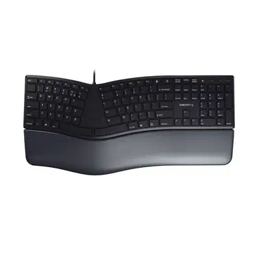 CHERRY KC 4500 ERGO clavier Universel USB QWERTY Anglais américain Noir - Clavier - visuel 1