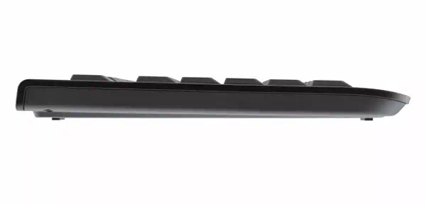 CHERRY DC 2000 clavier Souris incluse Universel USB QWERTY Anglais américain Noir - Clavier - visuel 2