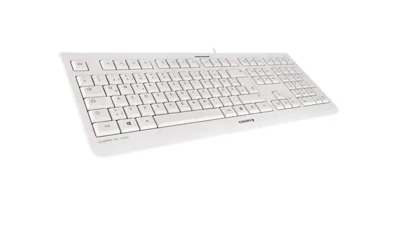 CHERRY KC 1000 clavier Universel USB QWERTY Nordique Gris - Clavier - visuel 2