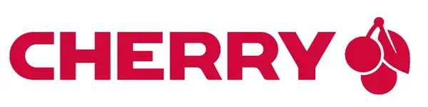 CHERRY B.UNLIMITED 3.0 clavier Souris incluse Bureau RF sans fil Allemand Gris - Clavier - visuel 1