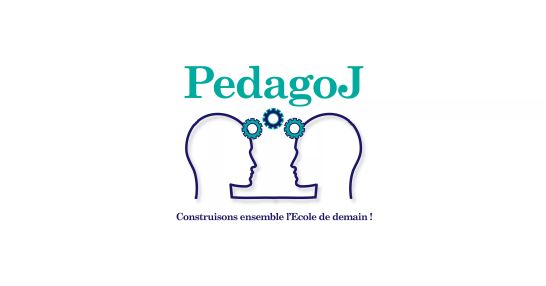 Achat Pédagoj - Ateliers - Adolescents et Adultes au meilleur prix