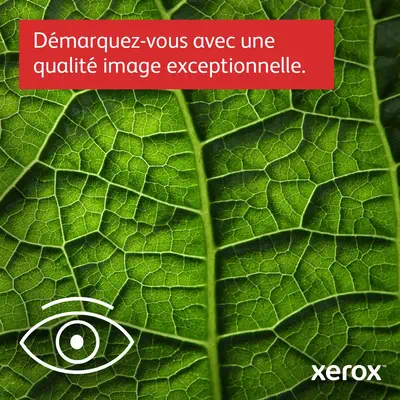 Xerox XEROX Xerox - visuel 1 - hello RSE - Parfaite pour les petits groupes de travail ou chez soi – Des performances et une fiabilité à toute épreuve.