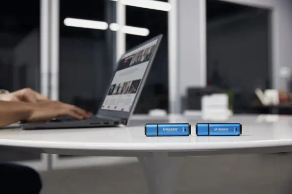 256Go USB-C IronKey Vault Privacy 50C chiffrée AES-256, Kingston - visuel 1 - hello RSE - Fonctionnalités supplémentaires liées à la sécurité