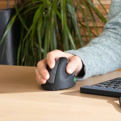 Souris Ergonomique R-Go HE Break avec logiciel de R-Go Tools - visuel 1 - hello RSE - Pour une manipulation sans risques de la souris - Prise en main confortable