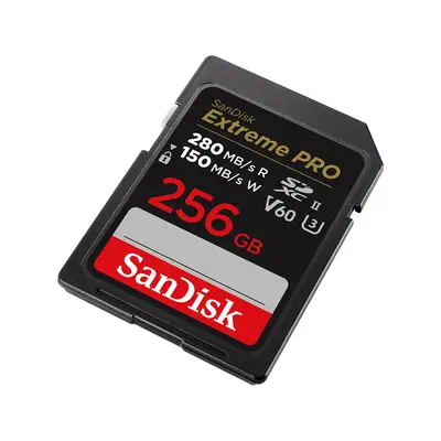 Sandisk SDSDXEP-256G-GN4IN  - Carte Mémoire - visuel 2