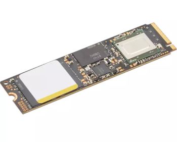 Achat LENOVO ThinkPad 512Go Performance PCIe Gen4 NVMe au meilleur prix