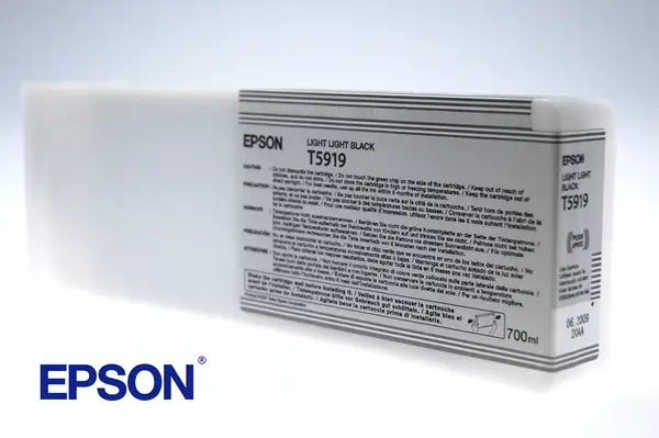 EPSON 5LB T5919 ink cartridge light light black standard - Epson - Autres consommables - visuel 1