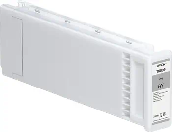 Revendeur officiel C13T800900