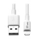 Vente EATON TRIPPLITE USB-A to Lightning Sync/Charge Cable Tripp Lite au meilleur prix - visuel 6
