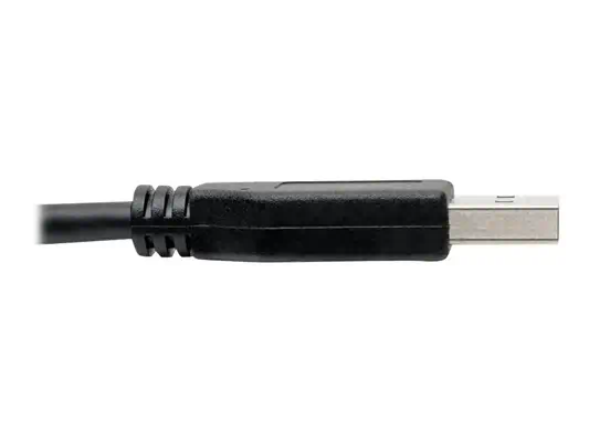 EATON TRIPPLITE USB-C to USB-A Cable M/M USB 3.1 Gen - Tripp Lite - Câble USB - visuel 2