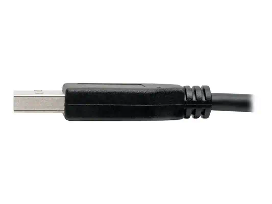 EATON TRIPPLITE USB-C to USB-A Cable M/M USB 3.1 Gen - Tripp Lite - Câble USB - visuel 4