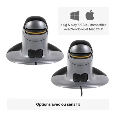 Souris verticale ambidextre Penguin – Sans fil - Grand - Fellowes - visuel 5