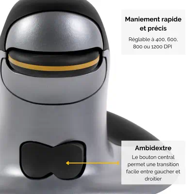 Souris verticale ambidextre Penguin – Sans fil - Moyen - Fellowes - visuel 4