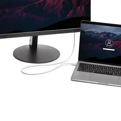 StarTech Câble Thunderbolt 3 de 2 m - 20 Gb/s - Compatible - Câble USB - visuel 2
