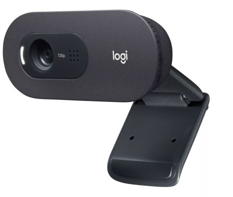 Vente LOGITECH C505e HD Webcam Black Logitech au meilleur prix - visuel 2