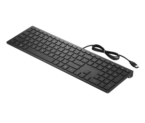 HP PAV WIRED KEYBOARD 300 EN clavier Bureau USB Noir - Clavier - visuel 2