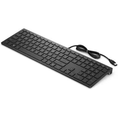 HP PAV WIRED KEYBOARD 300 EN clavier Bureau USB Noir - Clavier - visuel 3