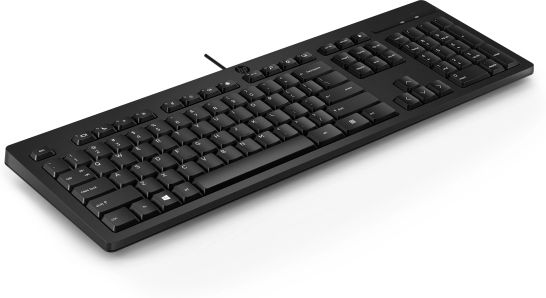 Vente HP 125 Wired Keyboard - English QWERTY (EN) HP au meilleur prix - visuel 10