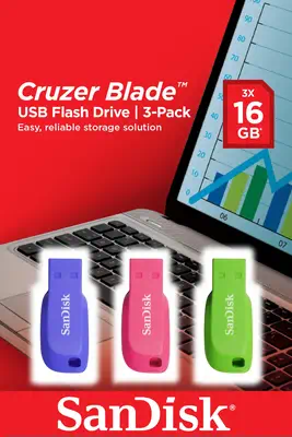 SanDisk Cruzer Blade 16GB lecteur USB flash 16 Go USB Type-A 2.0 Bleu, Vert, Rose - Sandisk - Adaptateur stockage - visuel 2