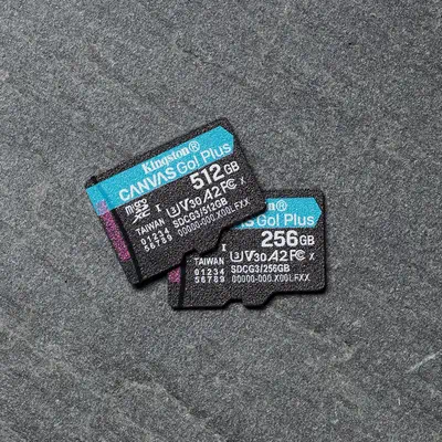 Carte microSDXC Canvas Go Plus 170R A2 U3 V30 de 256 Go sans ADP - Kingston - Carte Mémoire - visuel 5
