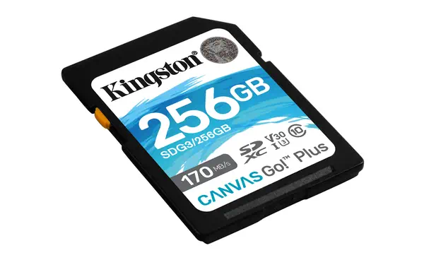 Carte SDXC Canvas Go Plus 170R C10 UHS-I Kingston - visuel 1 - hello RSE - Vitesses supérieures