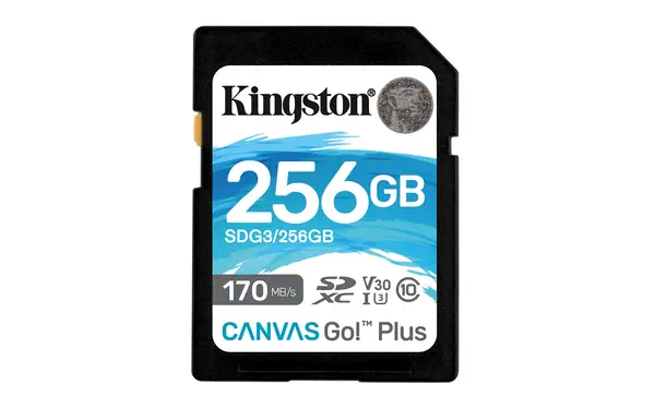 Carte SDXC Canvas Go Plus 170R C10 UHS-I U3 V30 de 256 Go - Kingston - Carte Mémoire - visuel 1