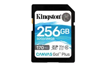 Offre Carte Mémoire Kingston SD