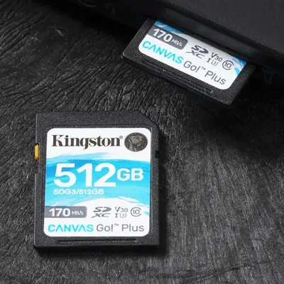 Carte SDXC Canvas Go Plus 170R C10 UHS-I U3 V30 de 512 Go - Kingston - Carte Mémoire - visuel 7