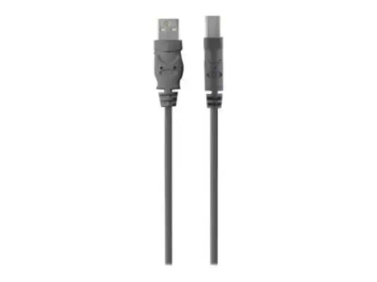 BELKIN USB2.0 A-B Cable 4.8m - Belkin - Câble USB - visuel 4