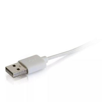 Achat Câble USB C2G 86051