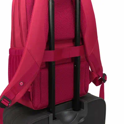 DICOTA SCALE 39,6 cm (15.6") Sac à dos Rouge - Dicota - Sacoche & Housse - visuel 7