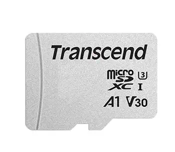 TS4GUSD300S livraison gratuite