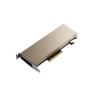 PNY A2 NVIDIA 16 Go GDDR6 - Carte graphique - visuel 1