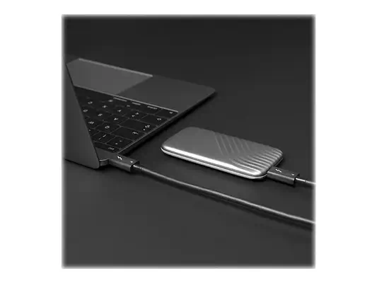 LINDY 1m Thunderbolt 4 passive Cable - Lindy - Câble USB - visuel 2