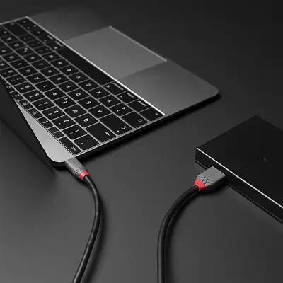 LINDY 0.5m USB 3.2 Type C to Micro-B Cable Anthra Line - Lindy - Câble USB - visuel 4