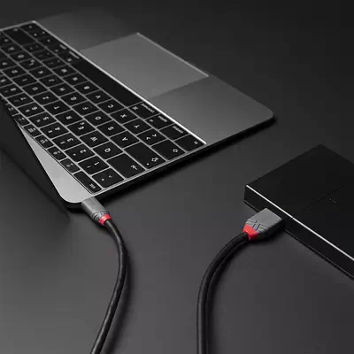 Vente LINDY 2m USB 3.2 Type C to Micro-B Lindy au meilleur prix - visuel 4