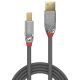 Vente LINDY 0.5m USB 3.0 Type A/B Cable Cromo Lindy au meilleur prix - visuel 4