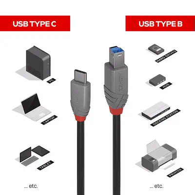 Vente LINDY 0.5m USB 3.2 Type C to B Lindy au meilleur prix - visuel 4