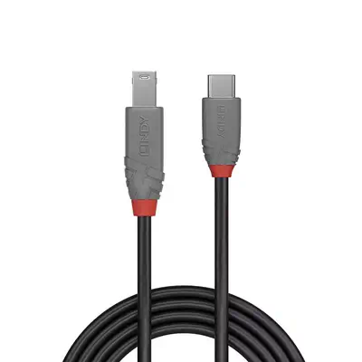 Vente LINDY 1m USB 3.2 Type C to B Lindy au meilleur prix - visuel 2
