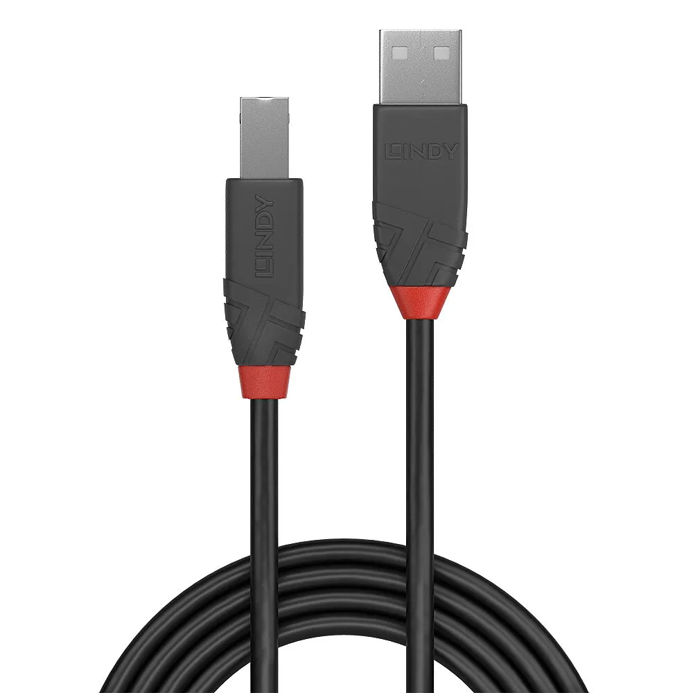 Vente LINDY Câble USB 2.0 type A vers B Lindy au meilleur prix - visuel 4