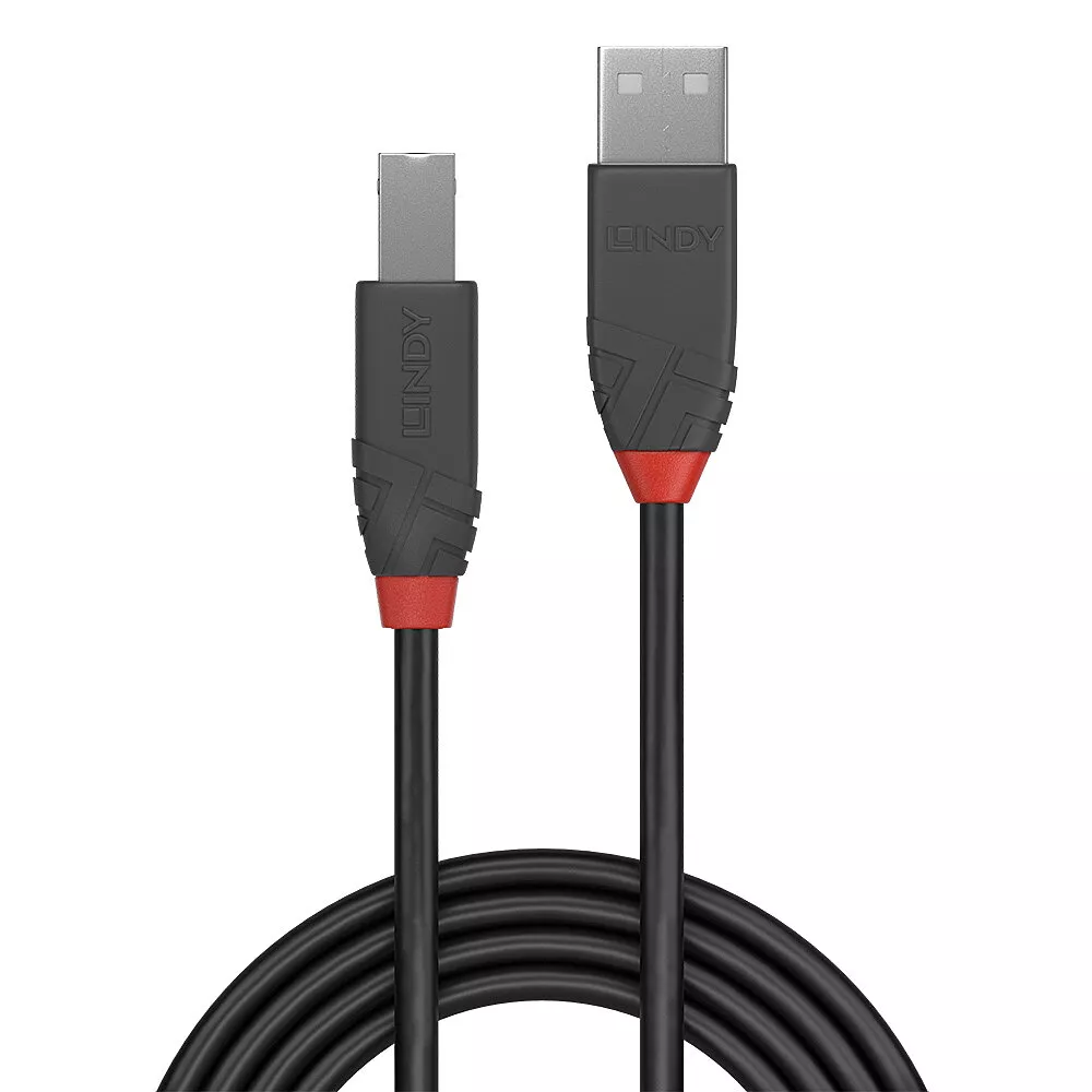 Vente LINDY Câble USB 2.0 type A vers B Lindy au meilleur prix - visuel 2