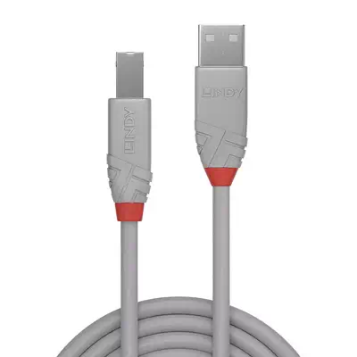 Vente LINDY 2m USB 2.0 Type A to B Lindy au meilleur prix - visuel 2