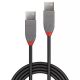 Vente LINDY 0.2m USB 2.0 Type A Cable Anthra Lindy au meilleur prix - visuel 2