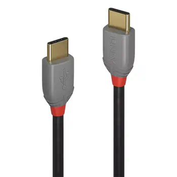 Achat LINDY Câble USB 2.0 Type C Anthra Line 0.5m - 4002888368704