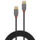 Vente LINDY Câble USB 2.0 Type C Anthra Line Lindy au meilleur prix - visuel 4