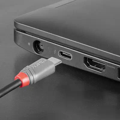 Vente LINDY Câble USB 2.0 Type C vers Micro-B Lindy au meilleur prix - visuel 10