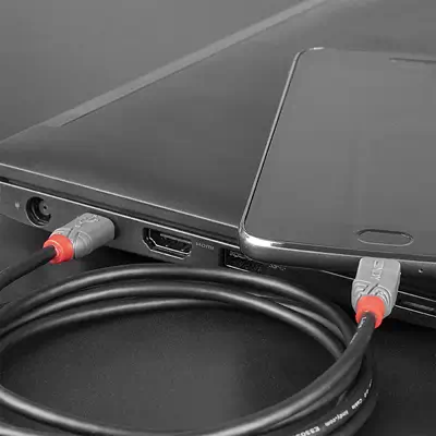 LINDY Câble USB 2.0 Type C vers Micro-B Anthra Line 2m - Lindy - visuel 3