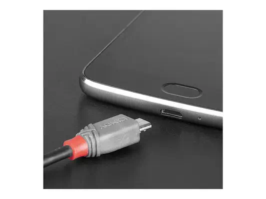 LINDY 3m USB 2.0 Type C to Micro-B Cable Anthra Line - Lindy - Câble USB - visuel 2
