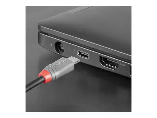 LINDY 3m USB 2.0 Type C to Micro-B Cable Anthra Line - Lindy - Câble USB - visuel 1