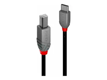 Câble USB Lindy 0,5 m achat
